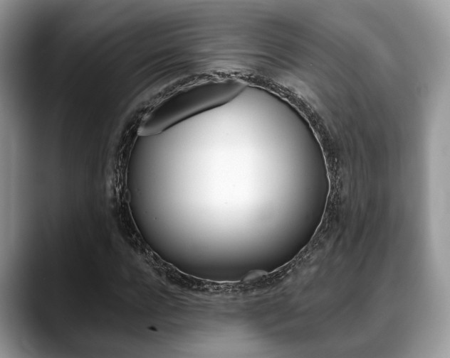 X0000088890920200706080803
