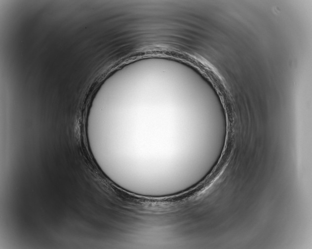 X0000088890921200706080803