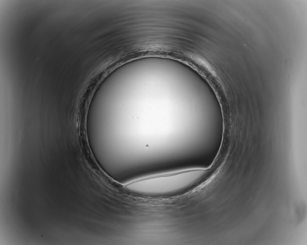 X0000088890922200706080803