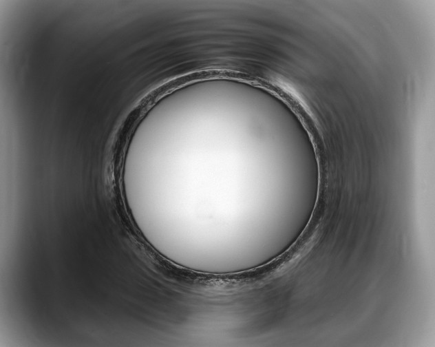X0000088890923200706080803