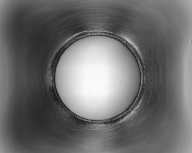 X0000088890925200706080803