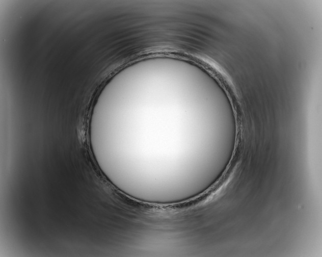 X0000088890929200706080803
