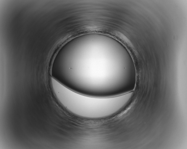 X0000088890930200706080803