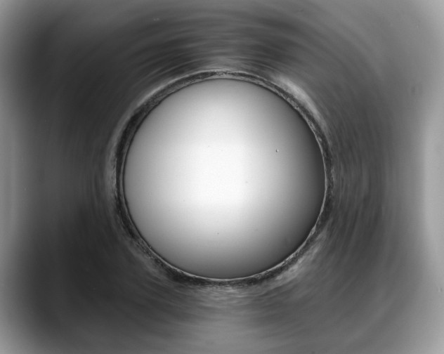X0000088890931200706080803