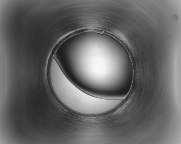 X0000088890932200706080803