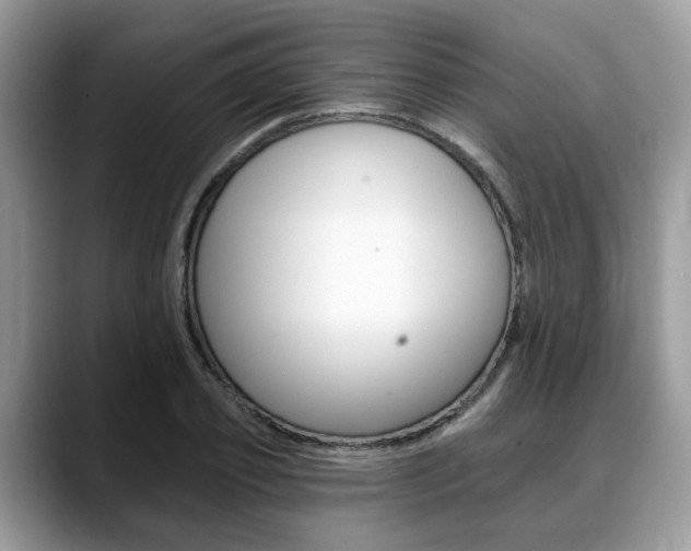 X0000088890933200706080803
