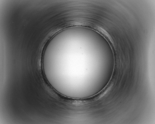 X0000088890938200706080804