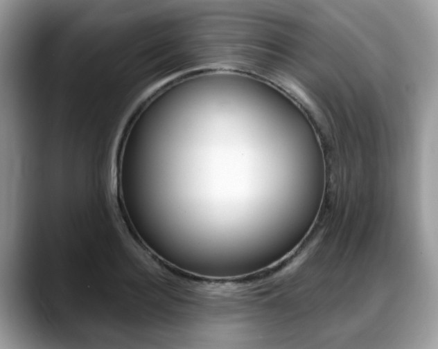 X0000088890940200706080804