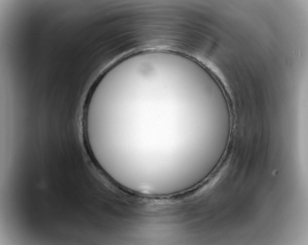 X0000088890941200706080804