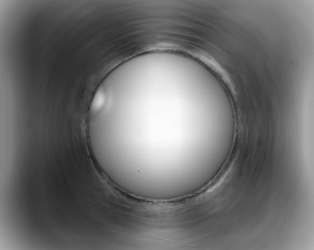 X0000088890945200706080804