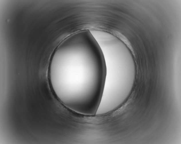X0000088890946200706080804