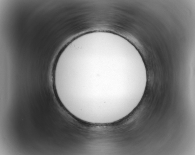 X0000088890950200706080804