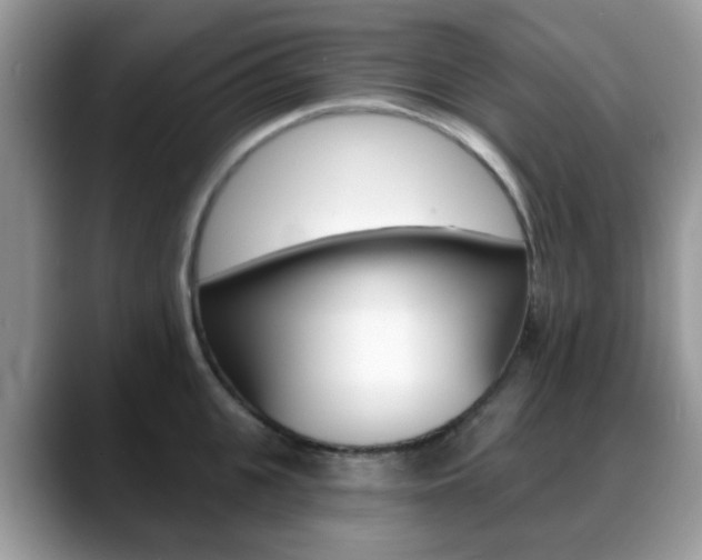 X0000088890951200706080804