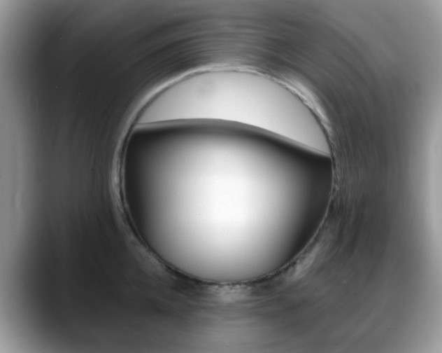 X0000088890952200706080804