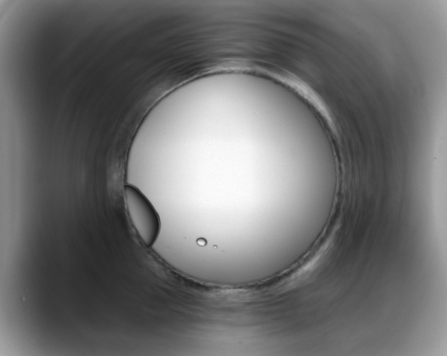X0000088890953200706080804