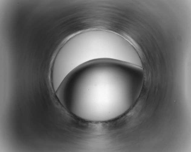 X0000088890956200706080804