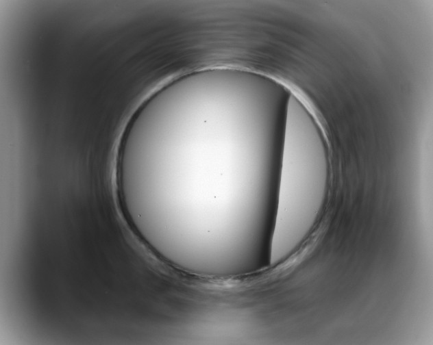 X0000088890957200706080804