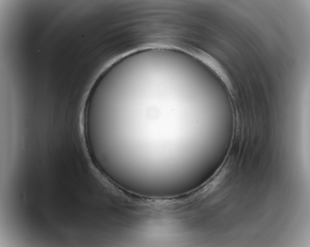 X0000088890958200706080804