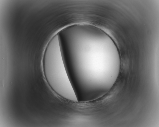 X0000088890959200706080804