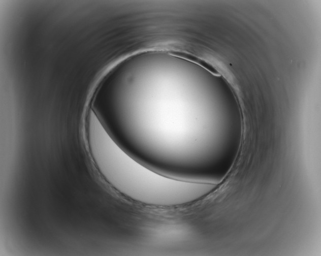 X0000088890960200706080804