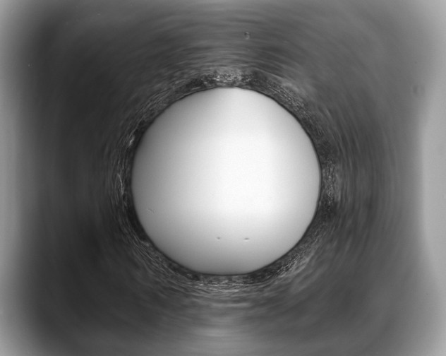 X0000088890962200706080803