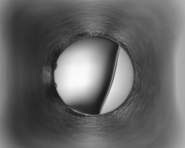 X0000088890963200706080803