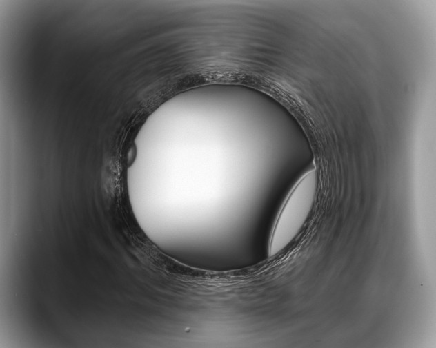 X0000088890964200706080803