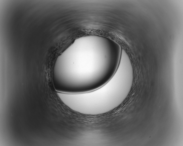 X0000088890965200706080803