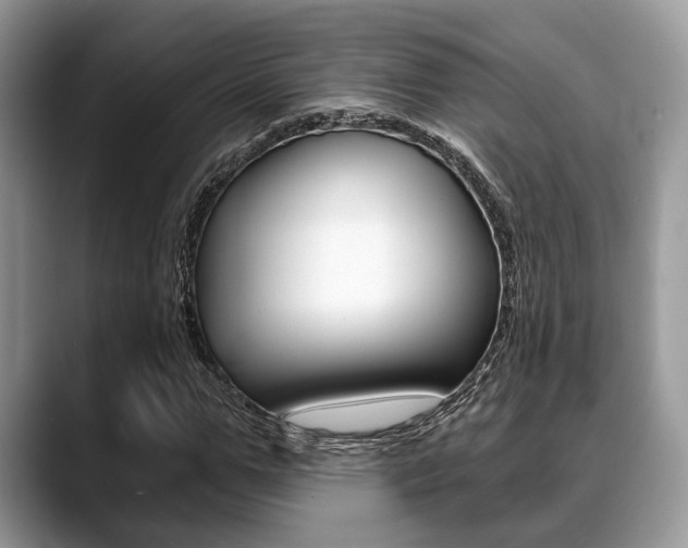 X0000088890967200706080803