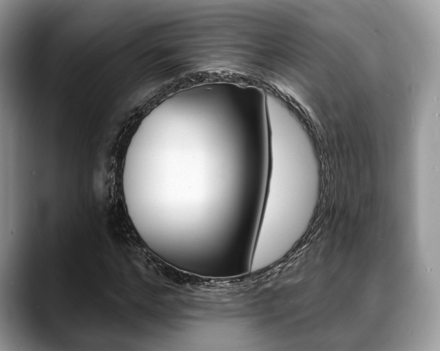 X0000088890968200706080803
