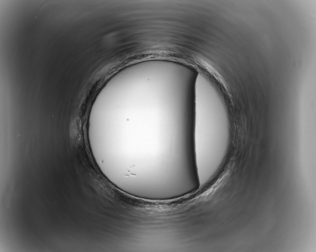 X0000088890970200706080803