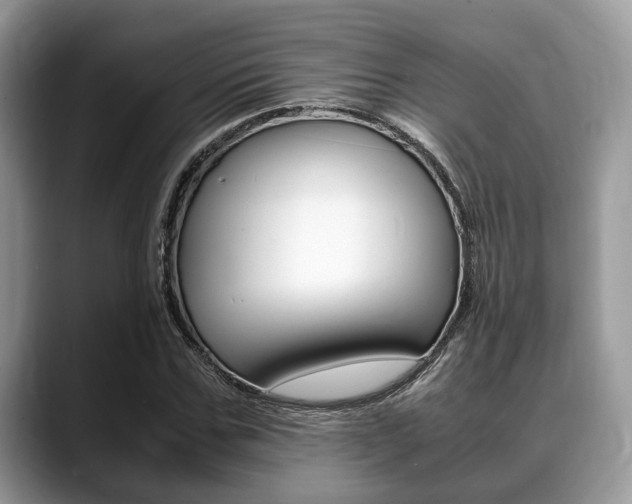 X0000088890971200706080803