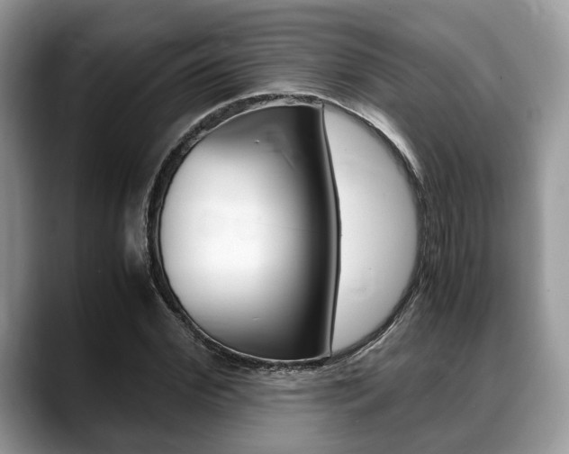 X0000088890972200706080803