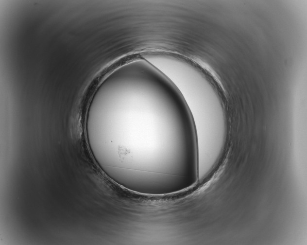X0000088890973200706080803