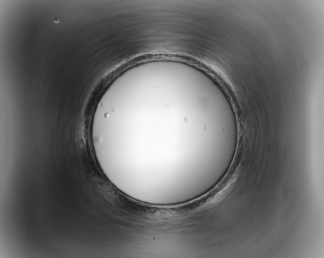 X0000088890974200706080803