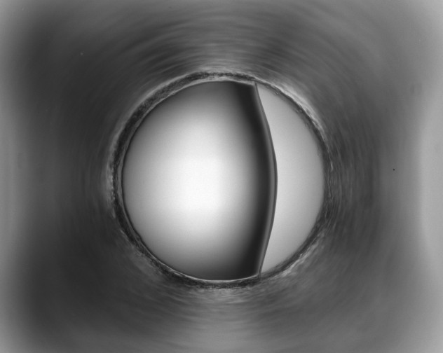 X0000088890976200706080803