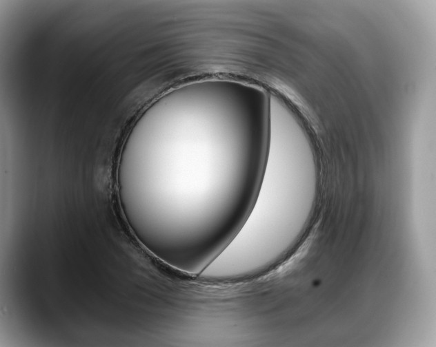 X0000088890977200706080803