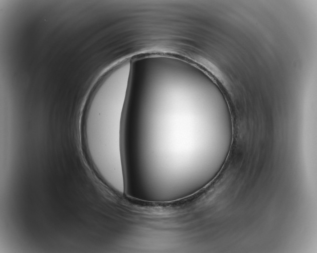 X0000088890980200706080803