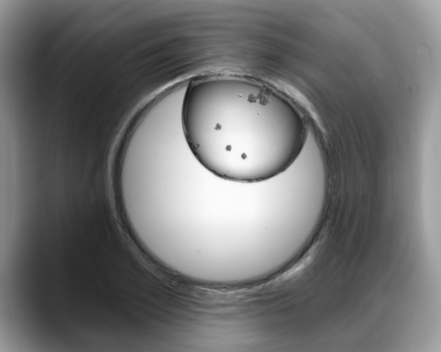 X0000088890981200706080803