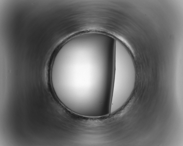 X0000088890983200706080803