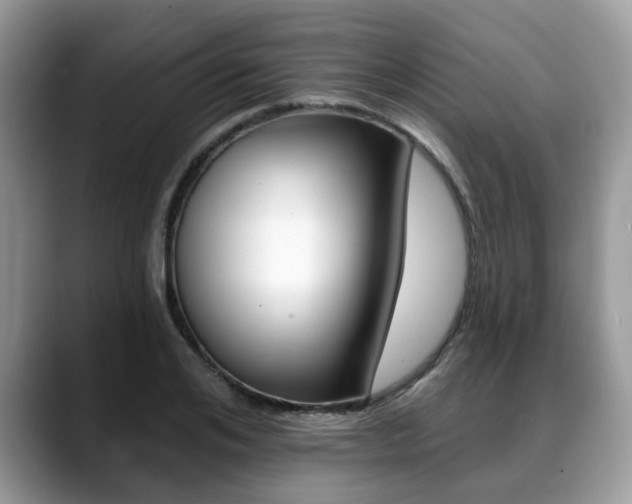 X0000088890984200706080803