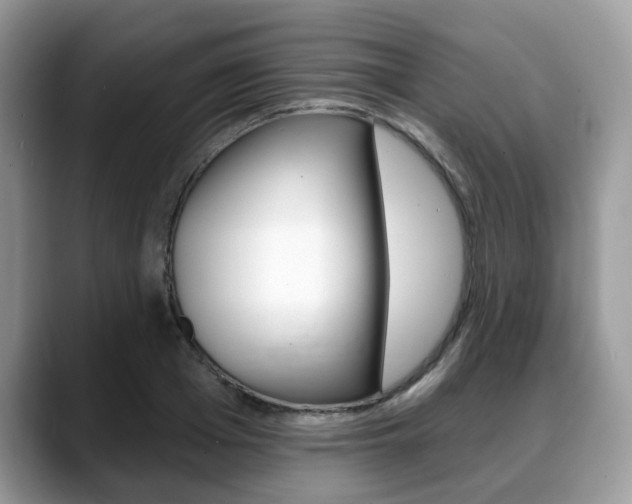 X0000088890985200706080803