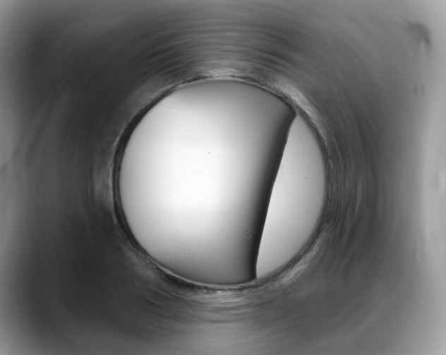 X0000088890986200706080803