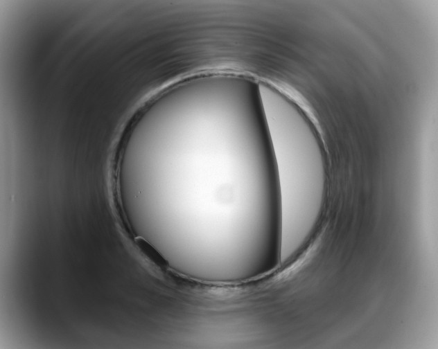 X0000088890989200706080803