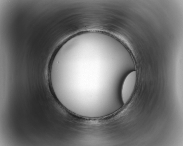 X0000088890990200706080803