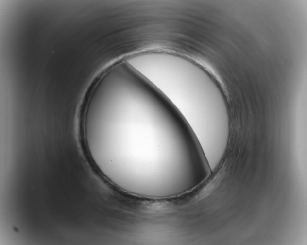 X0000088890991200706080803