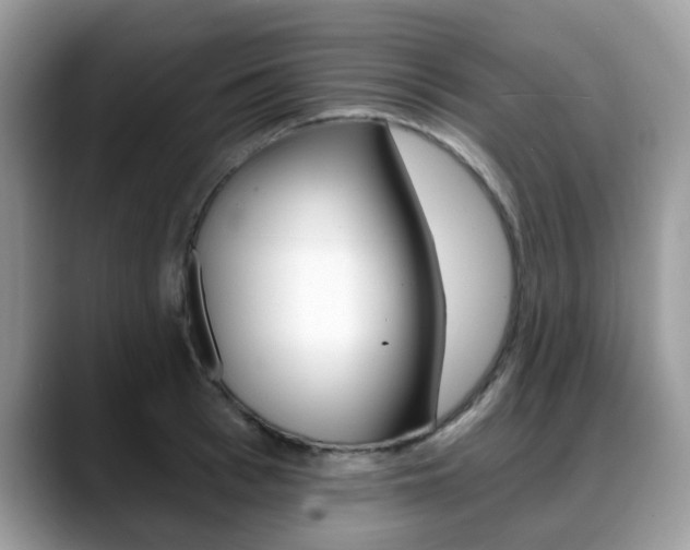 X0000088890993200706080803