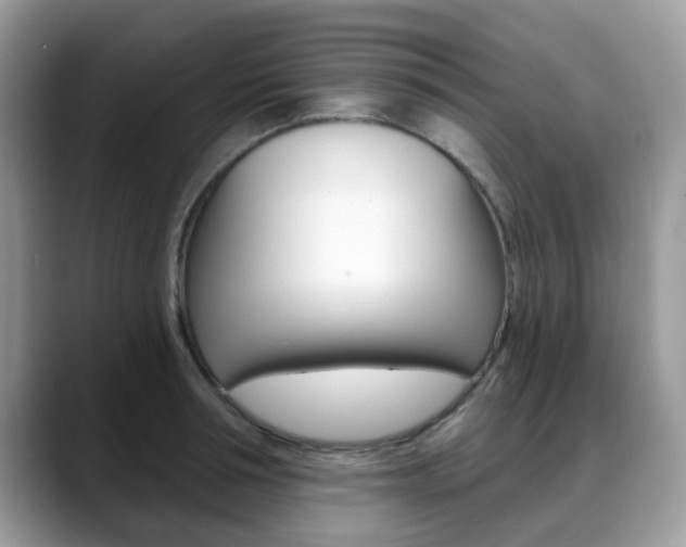 X0000088890994200706080803