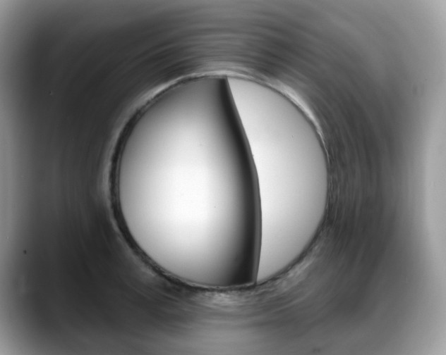 X0000088890995200706080803