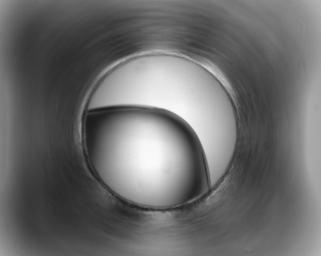 X0000088890996200706080803